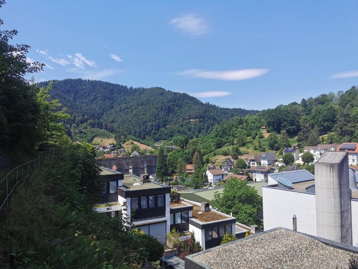 Terrassenwohnung Mit Toller Aussicht & Zentrumsnah Hornberg Exteriér fotografie